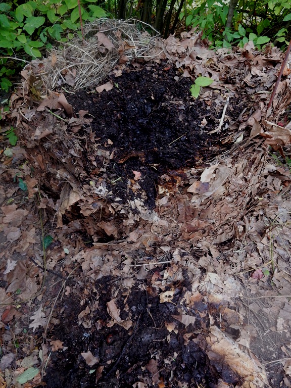 Autumn Leaves into Cold Compost