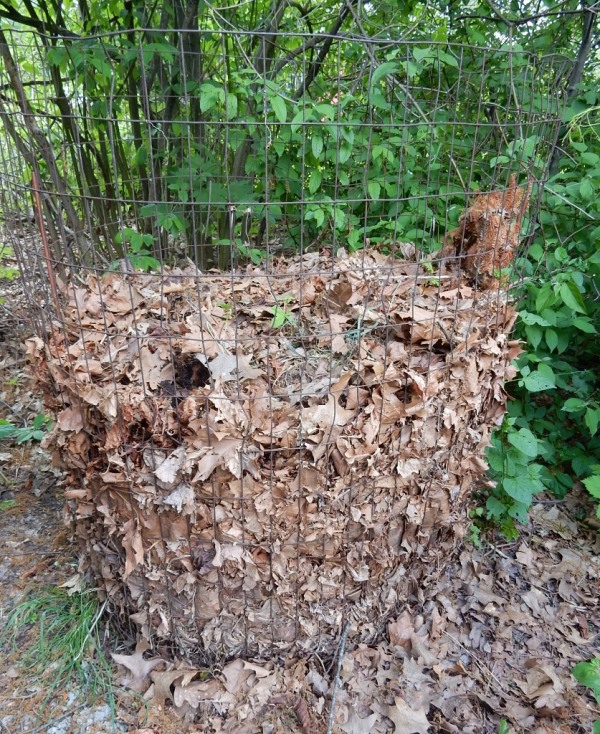 wire bin for leaves Commonweeder