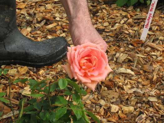 Rain Didn't Deter the Crowds