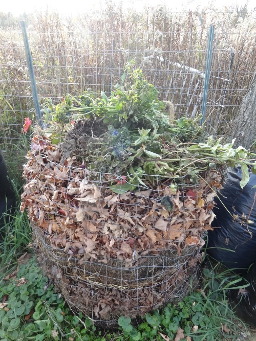 Can You Put Chicken In A Compost Bin at Delmar Brooks blog