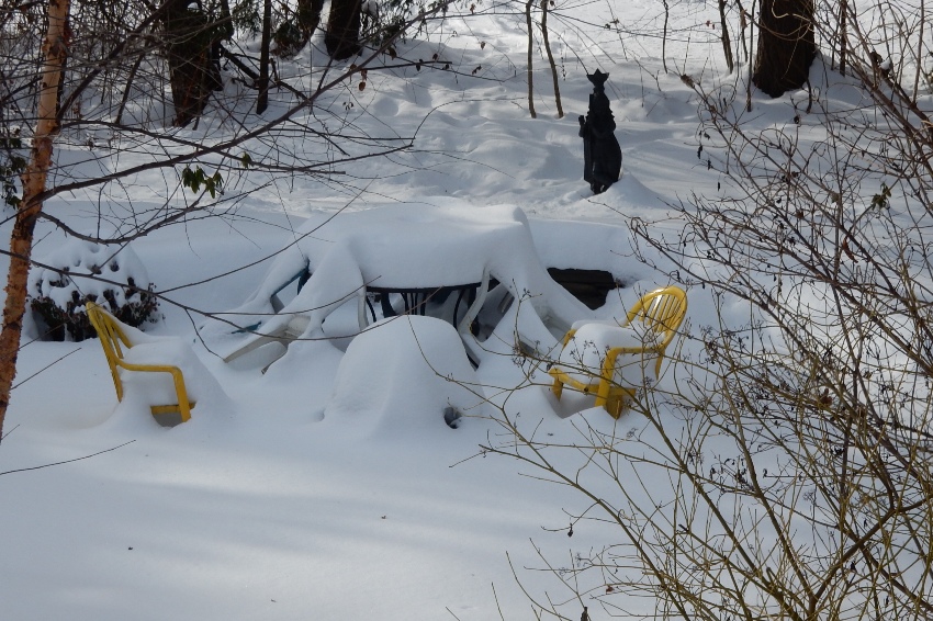 1219 Snow cover in garden Commonweeder