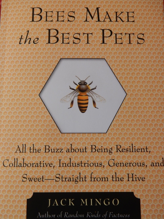 11023 Bees Make Best Pets Commonweeder