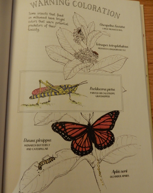 The Milkweed Lands - An Epic Story of One Plant