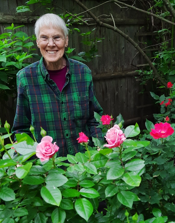 Roses Are Beginning to BLOOM!